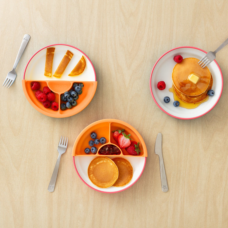 OmiieLife OMIE Easy Scoop Plate - Image 5